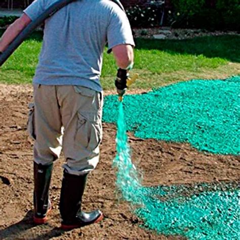 Should You Consider Hydroseeding for Your Lawn? | Diy lawn, Seeding ...