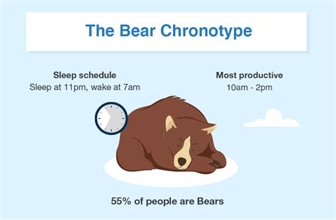 Sleep Chronotype Quiz: Discover Your Official Sleep Pattern