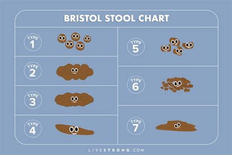 Know Your Poop Chart