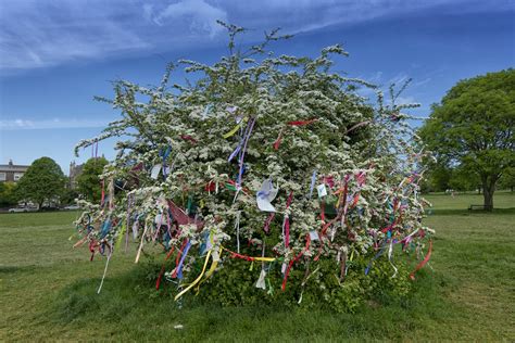 Clootie Tree | This 'Clootie' tree has been on the Durham Do… | Flickr