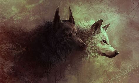 Animais Lobo Papel de Parede | Artwork lobo, Ilustração lobo, Lobos negros