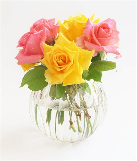 Free Images : blossom, petal, bloom, yellow, pink, floristry, flowering plant, garden roses ...