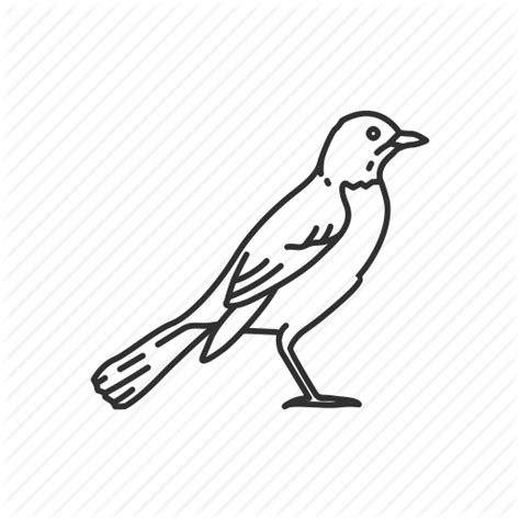 wisconsin state bird clipart 10 free Cliparts | Download images on Clipground 2024