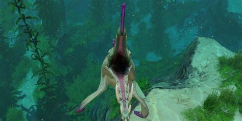 Subnautica: How to Get Stalker Teeth