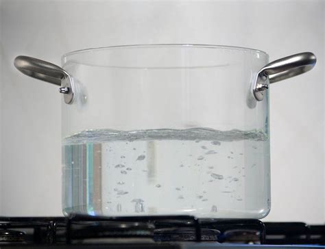 Borosilicate Glass Pot from MoMA » Gadget Flow