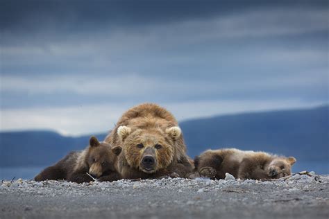 Winners 2021 — WORLD NATURE PHOTOGRAPHY AWARDS