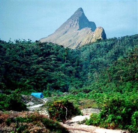 Pico da Neblina national park, Brasil | National parks, Wonders of the world, Places to go