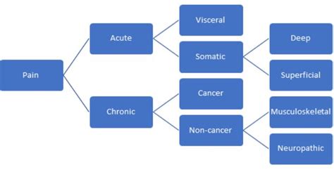 Nursing Interventions for Acute Pain Management - Nursing CE Central