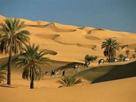 10 Facts about Desert Environments - Fact File