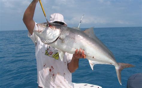 Amberjack - Key West Fishing Boats