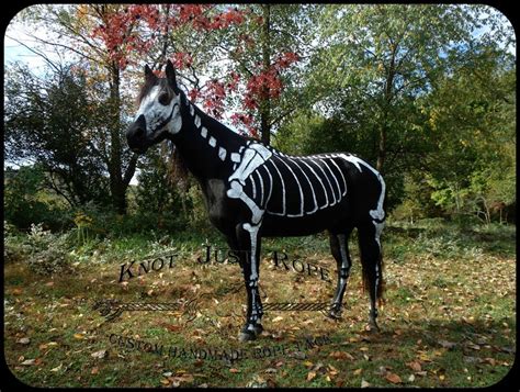 Painted Skeleton Horse | Knot Just Rope