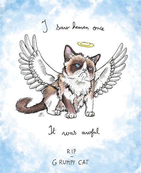 Grumpy Cat Tribute by plumedharfang on DeviantArt