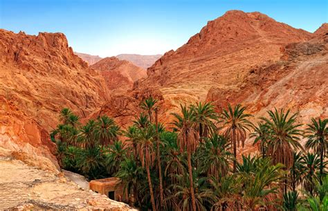 Mountain oasis Chebika at border of Sahara, Tunisia, Africa Beautiful Castles, Beautiful Places ...