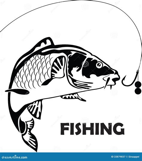 Carp Fish Illustration, Drawing, Engraving, Line Art, Realistic Cartoon Vector | CartoonDealer ...