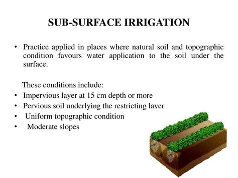 PPT - IRRIGATION METHODS PowerPoint Presentation, free download - ID ...