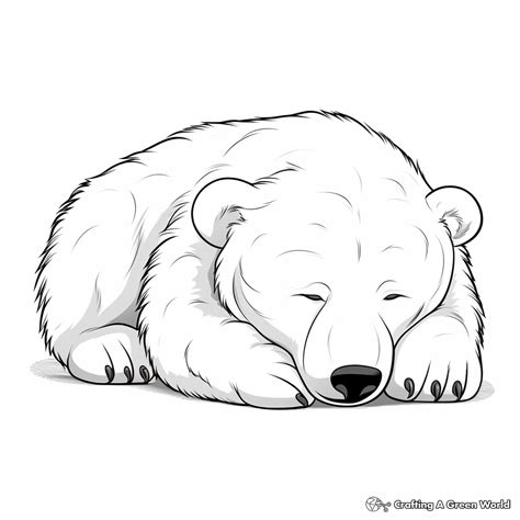 Sleeping Bear Coloring Pages - Free & Printable!