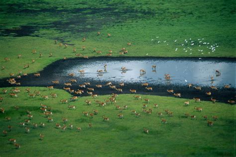 Worsening water risks on Kafue river could undermine Zambia's development