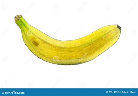 Banana Color Sketch Drawing Stock Illustration - Illustration of ...