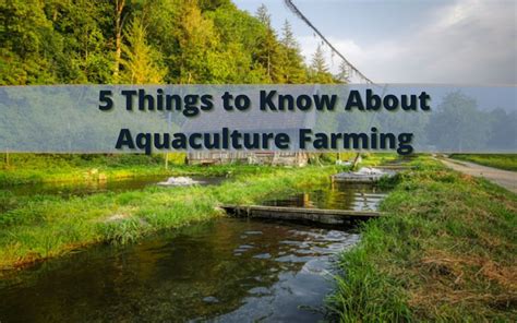 5 Things to Know About Aquaculture Farming | WorldWide Aquaculture