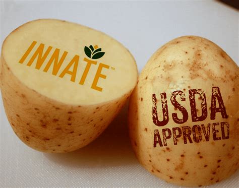 US approves three GMO potato varieties that can be grown and sold in ...