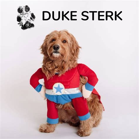 Duke Sterk - Sterk Family Law