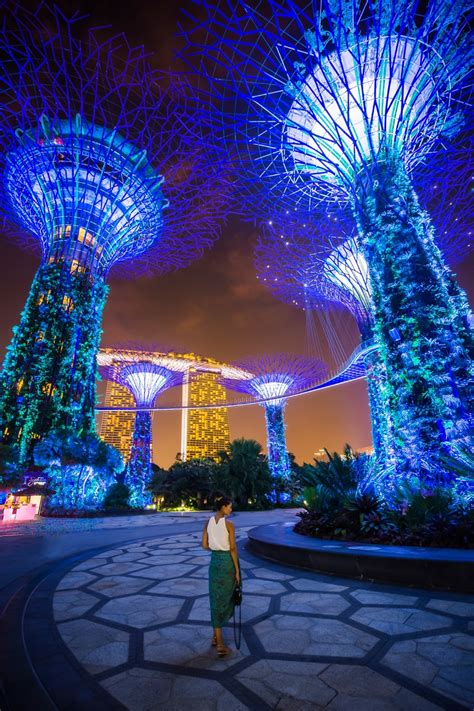 A Singapore Icon - Gardens by the Bay (Pics, Tickets, Hours, & Tips)