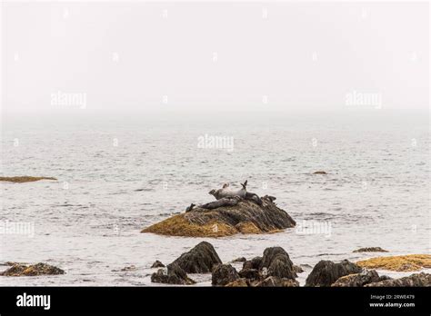 Kejimkujik national park seaside hi-res stock photography and images - Alamy