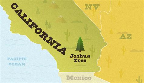 All-Inclusive Guide to Joshua Tree National Park