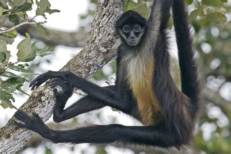 Bioparque Estrella México, todo lo que debes saber - Tips Para Tu Viaje