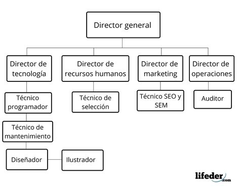 Organigrama mixto: características, cómo hacerlo, ejemplos