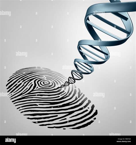 Dna Fingerprinting Process Animation