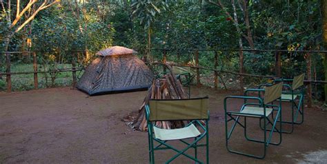 Best Trekking/Jungle Camping in Kerala - Experience Kerala