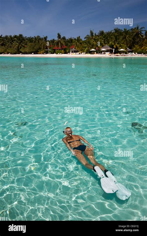 Snorkeling at Kurumba Island, North Male Atoll, Indian Ocean Stock ...