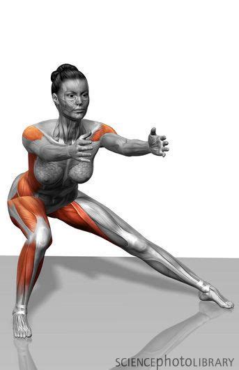 Lateral lunge (Front) - Muscle activation Fitness Del Yoga, Fitness Tips, Fitness Motivation ...