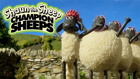 Synchronized Swimming | Championsheeps Games | Shaun the Sheep - YouTube