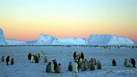 Wait, what? Antarctica gaining ice despite climate change, study says