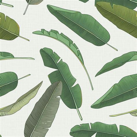 Aggregate 82+ banana leaf peel and stick wallpaper super hot - in ...