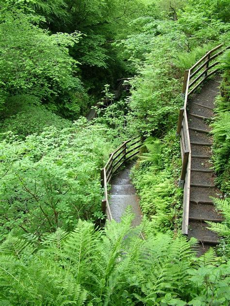 The Astounding Beauty of Glenariff Forest Park in Northern Ireland