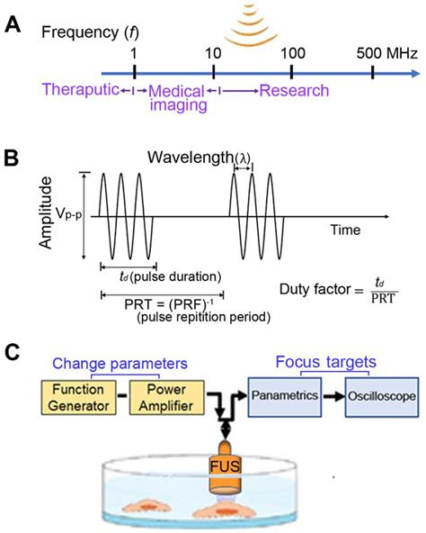 Sound waves and ultrasound parameters. (A) In ultrasound (US) field,... | Download Scientific ...