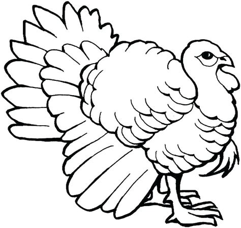 Realistic Turkey Coloring Pages at GetColorings.com | Free printable ...