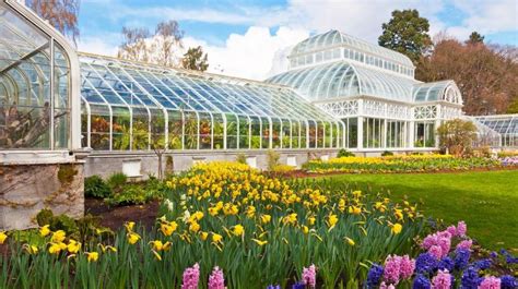 Free Admission to Volunteer Park Conservatory | Seattle Area Family Fun Calendar | ParentMap