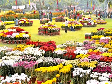 Chandigarh Rose Festival 2023: तीन दिवसीय रोज फेस्टिवल 17 फरवरी से होगा शुरू, जानिए इस बार क्या ...