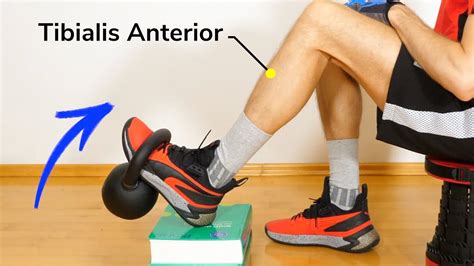 Tibialis Anterior Exercises