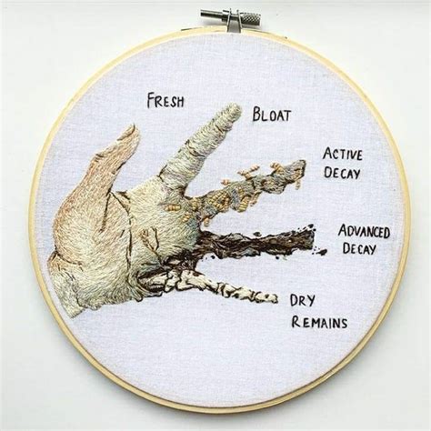 Stages of Decomposition, embroidery by calicoranger : r/WitchesVsPatriarchy