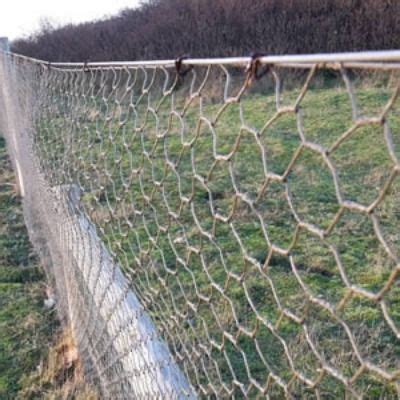 Hexagonal Wire Mesh Fence for Protecting Plants | Wire mesh fence, Chicken wire fence, Chicken wire