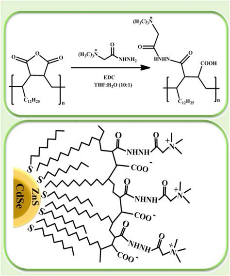 Scheme of reaction for the introduction of quaternary ammonium groups ...