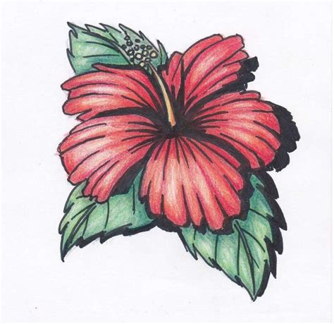 Free Hawaiian Flower Drawing, Download Free Hawaiian Flower Drawing png images, Free ClipArts on ...