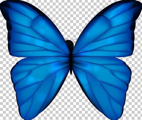 Monarch Butterfly Blue Phengaris Alcon PNG, Clipart, Azure, Blue, Blue ...