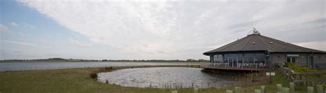 Abberton Reservoir | Essex Birdwatching Society