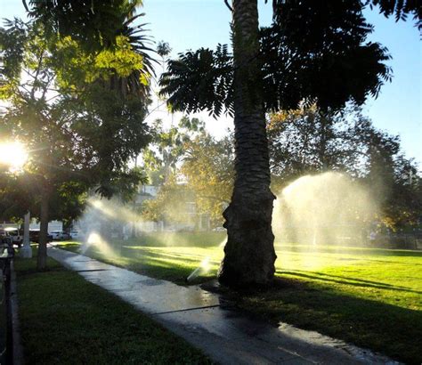 Early morning Echo Park | Los angeles travel, Echo park, Outdoor